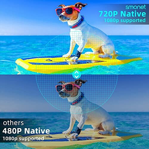 Dog with sunglasses on a surfboard in clear water, image quality comparison.