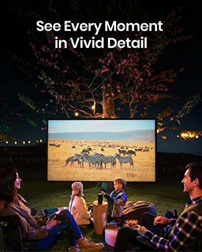 People watching zebras on a screen outdoors at night.